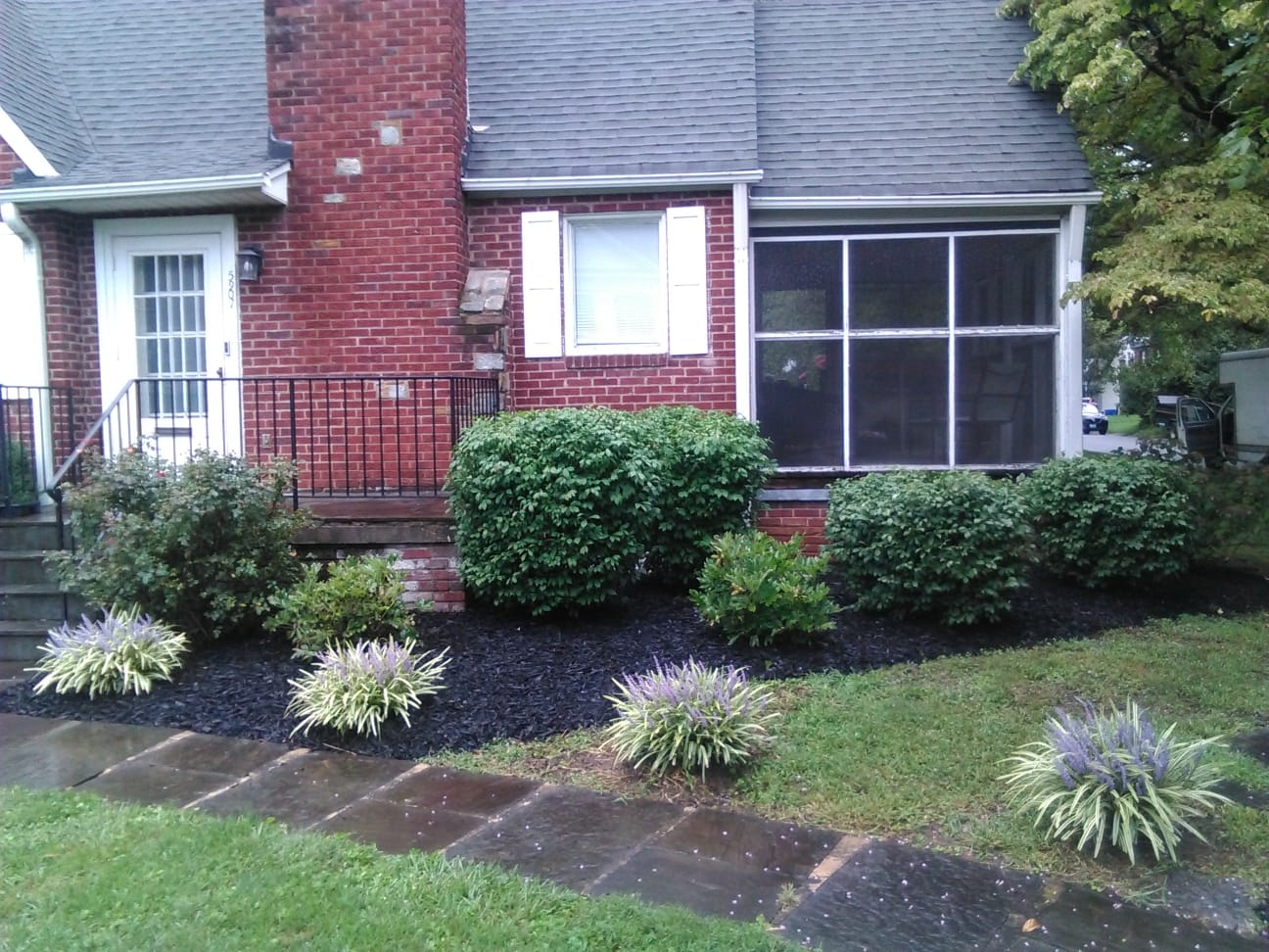 Front Yard